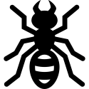 noun-ant-7758067