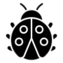 noun-ladybug-7840510